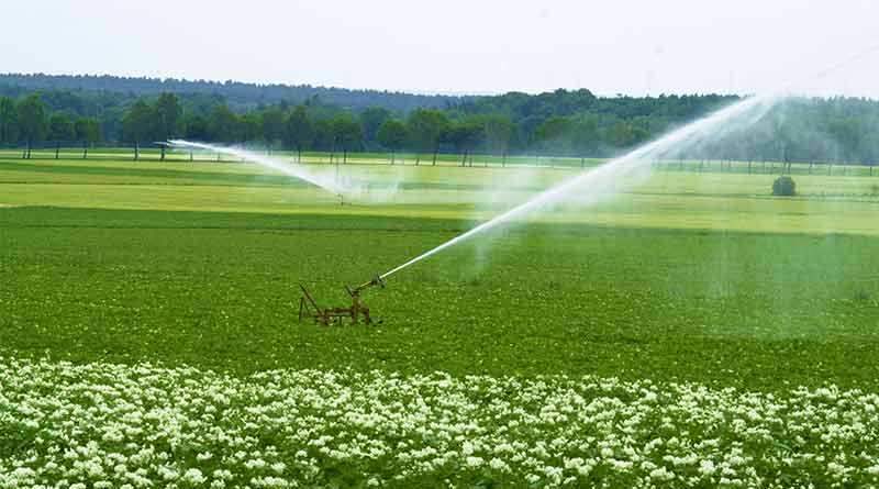 irrigation