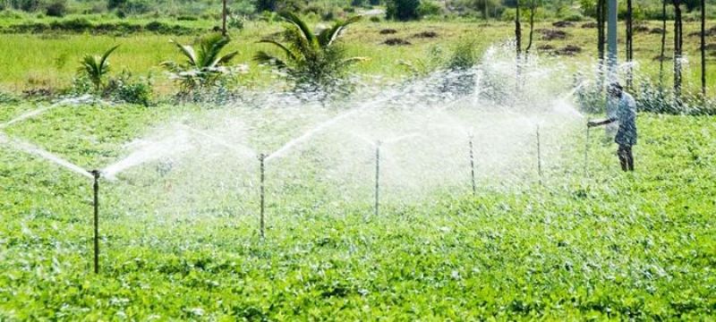 irrigation