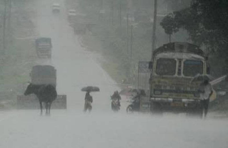 Rain