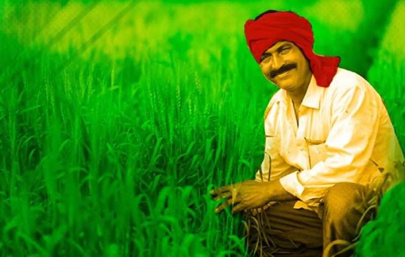 farmer