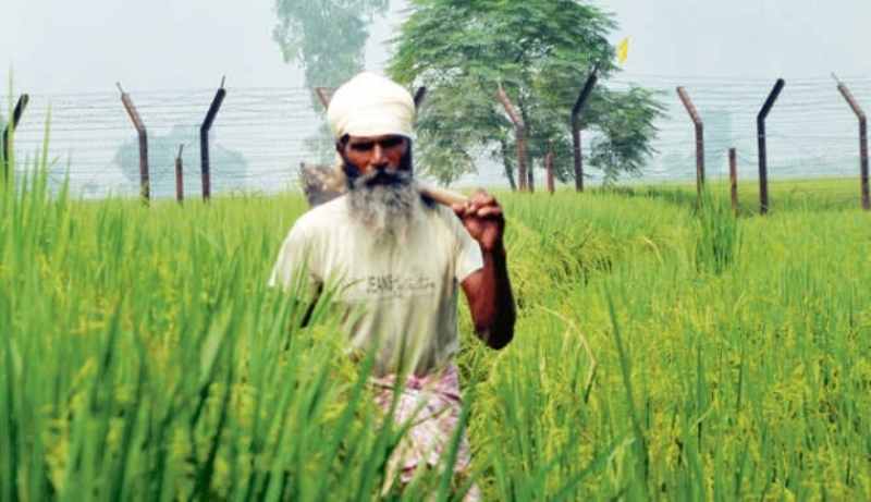 farmer