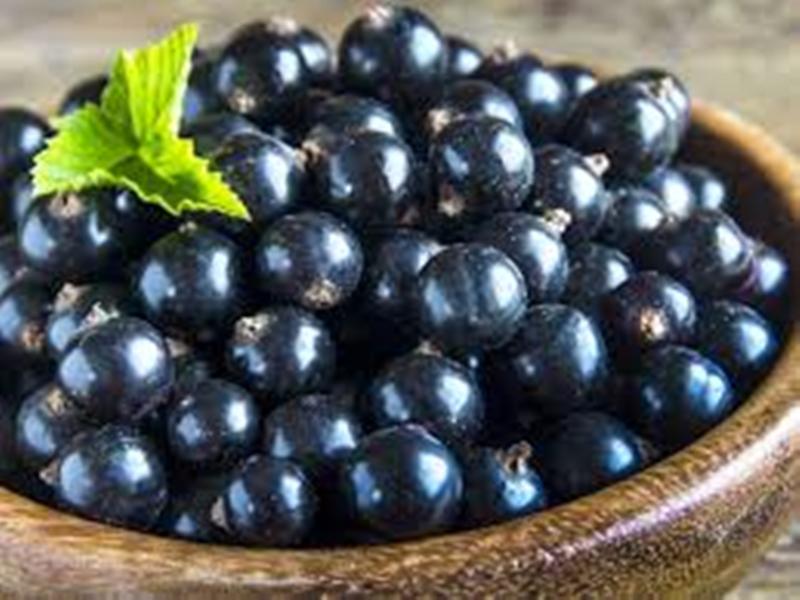 jamun