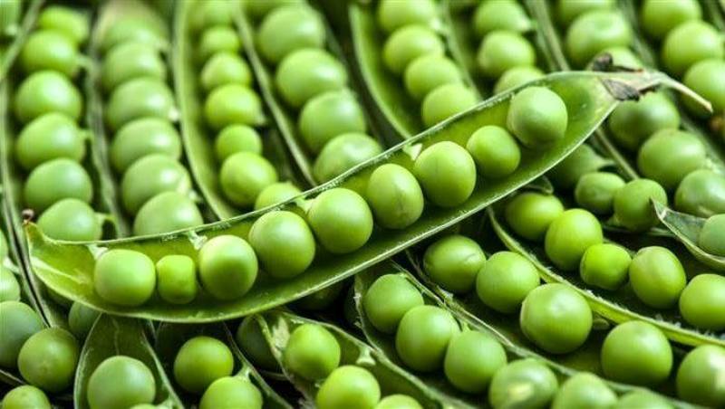pea