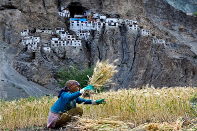 farming