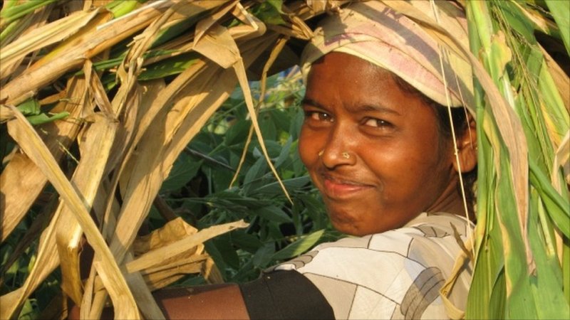 farmer