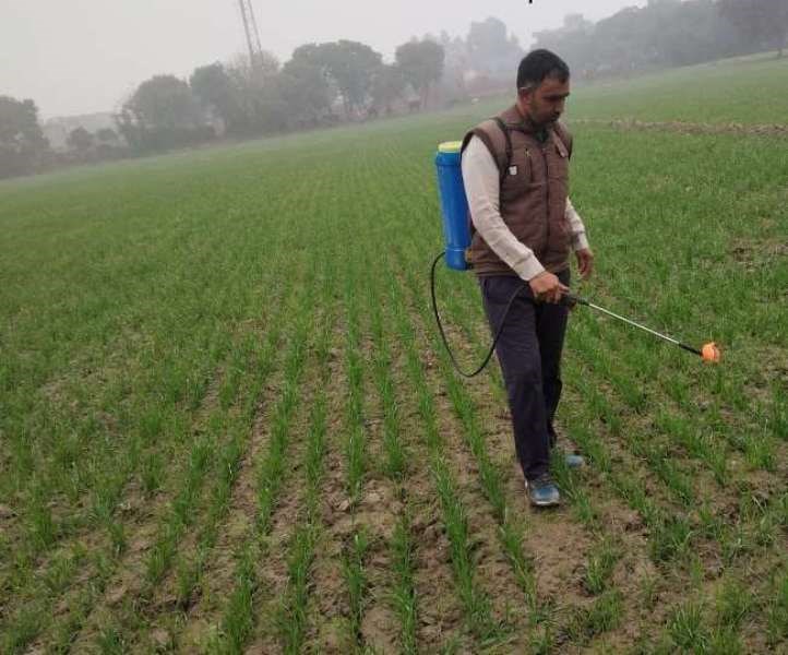 farmer