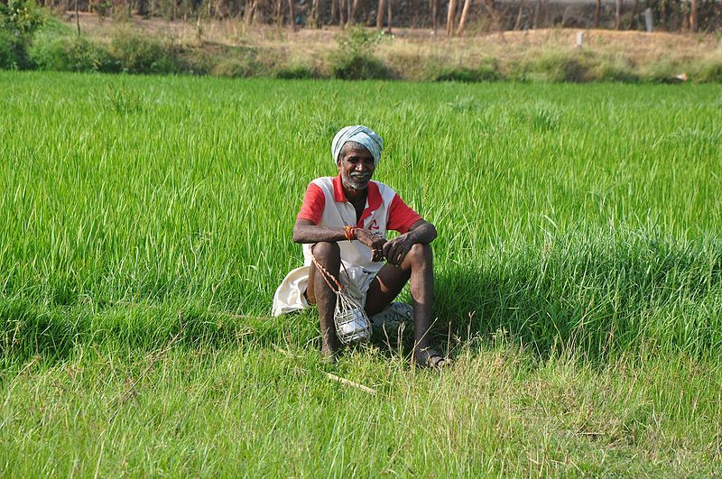 farmer