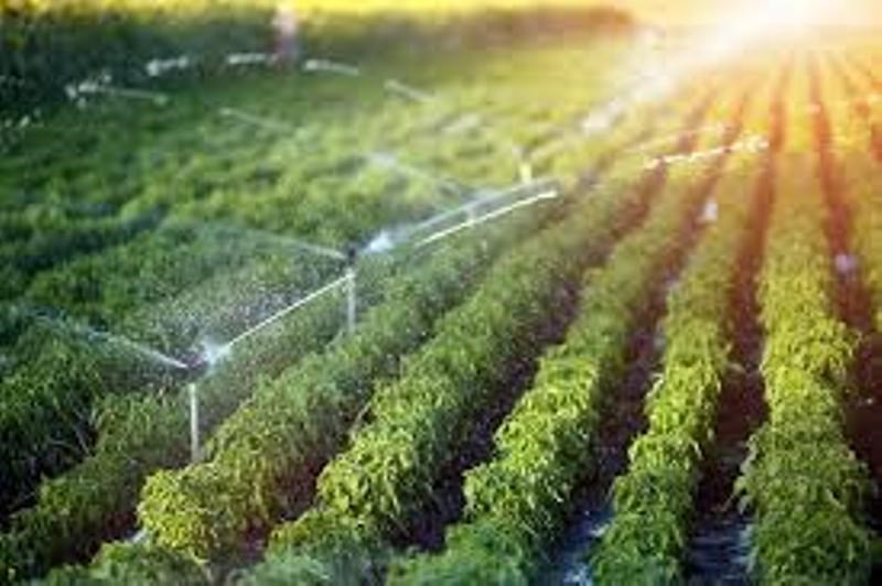 Irrigation