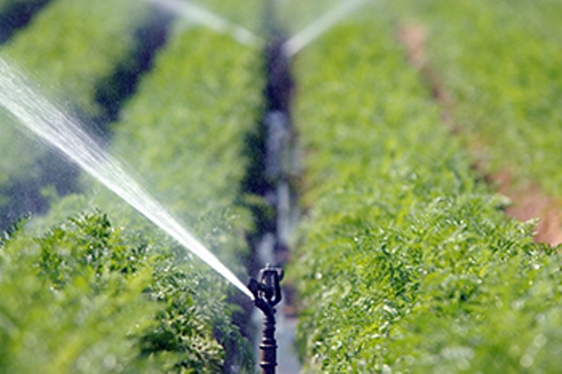 Irrigation