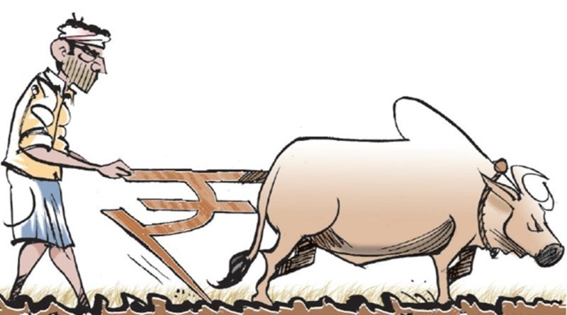 pm kisan