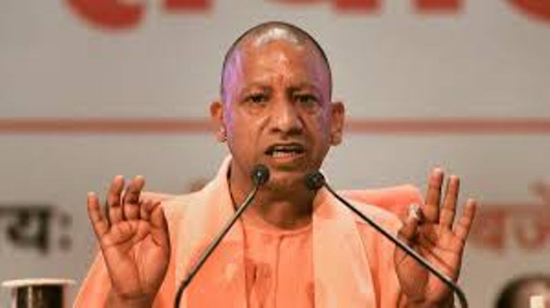 Yogi