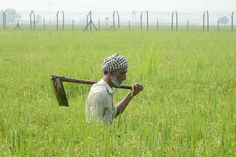 farmer