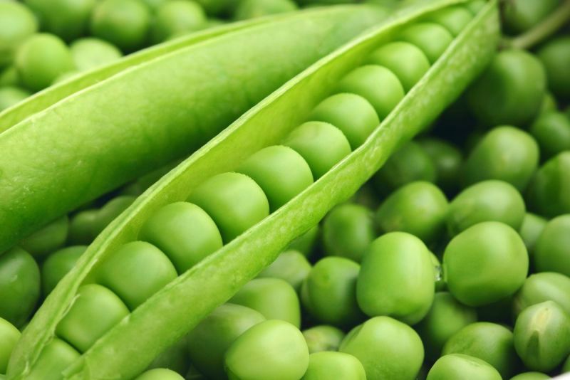 pea