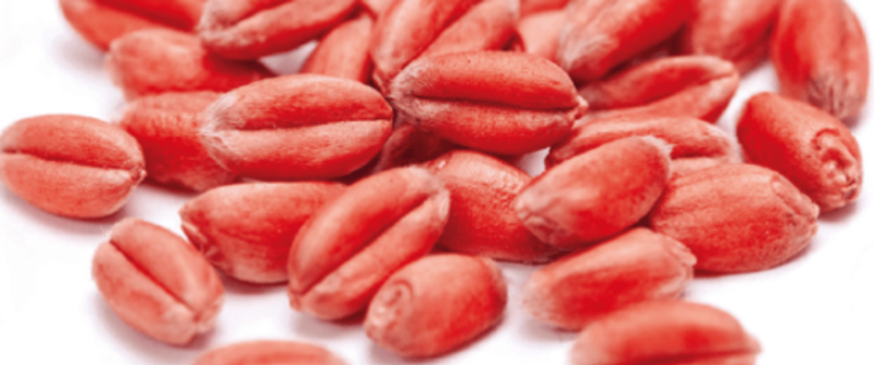seed