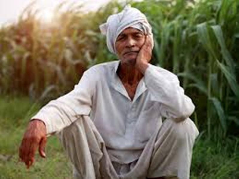 kisan