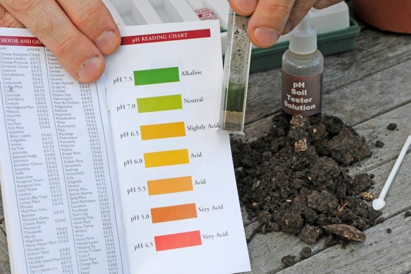 Soil