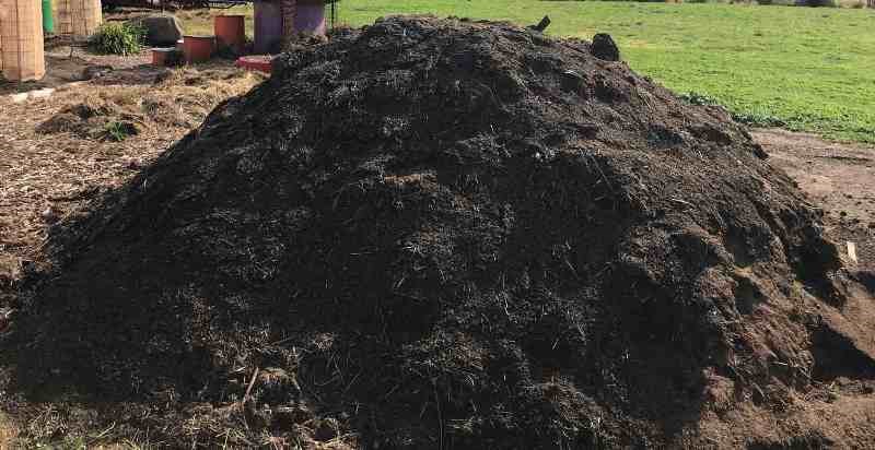 Soil