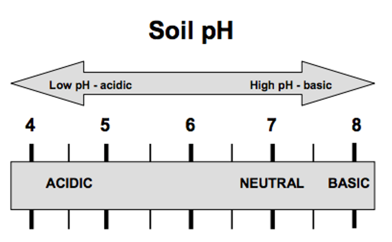 Soil