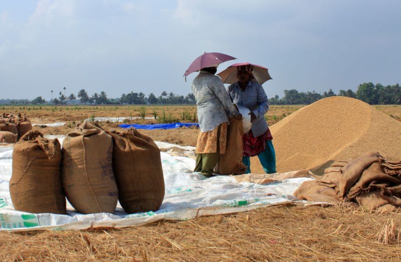 Kisan