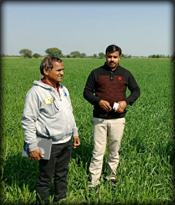 kisan