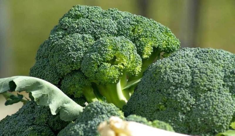 broccoli