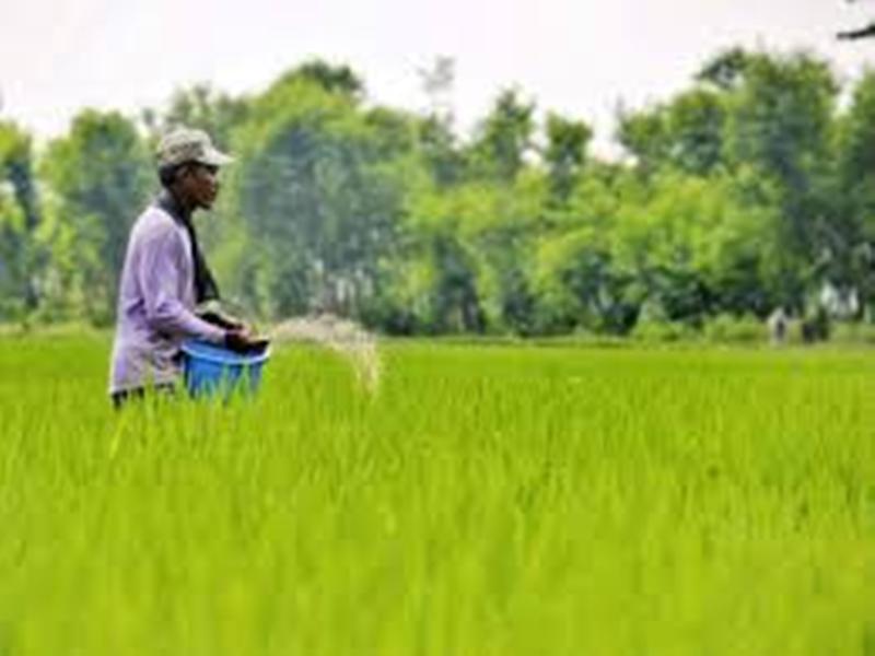 kisan