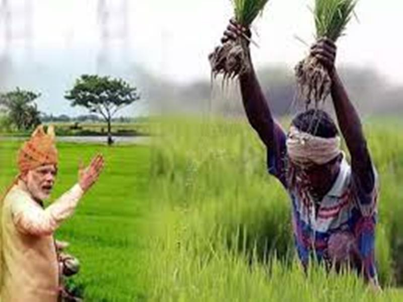 kisan