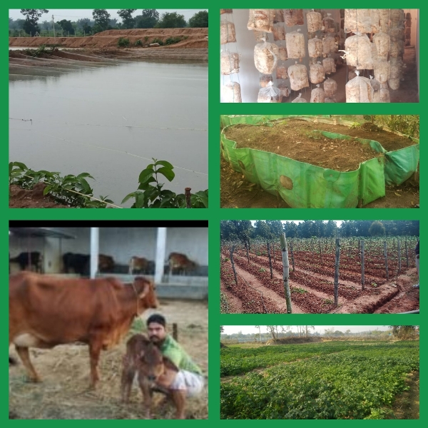 Irrigation