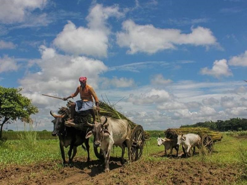 kisan