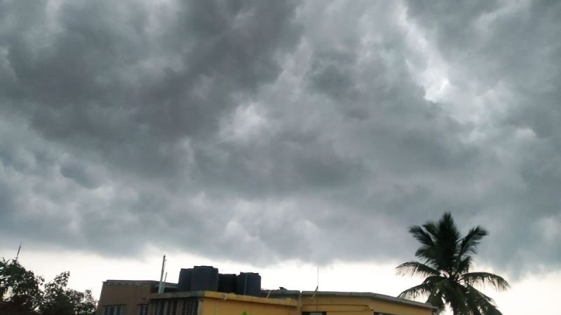 Rain