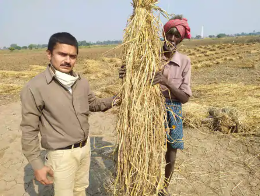 Alok Kumar