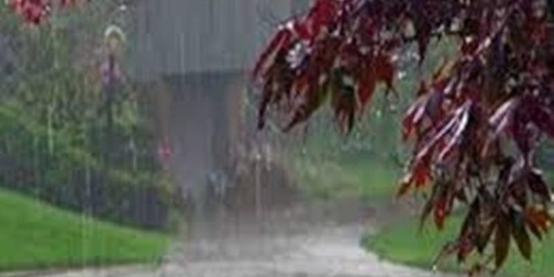 Barish