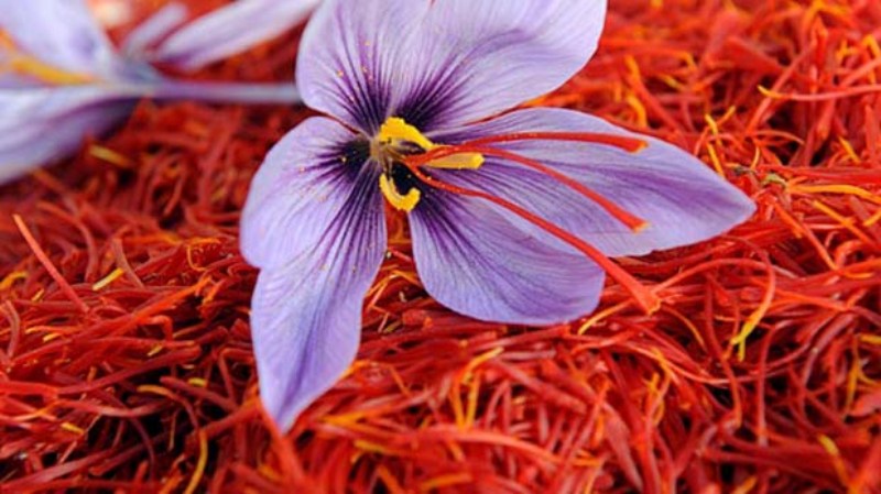 saffron