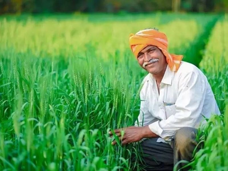 kisan