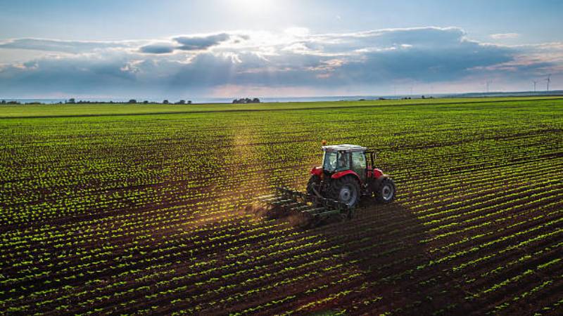 farmer