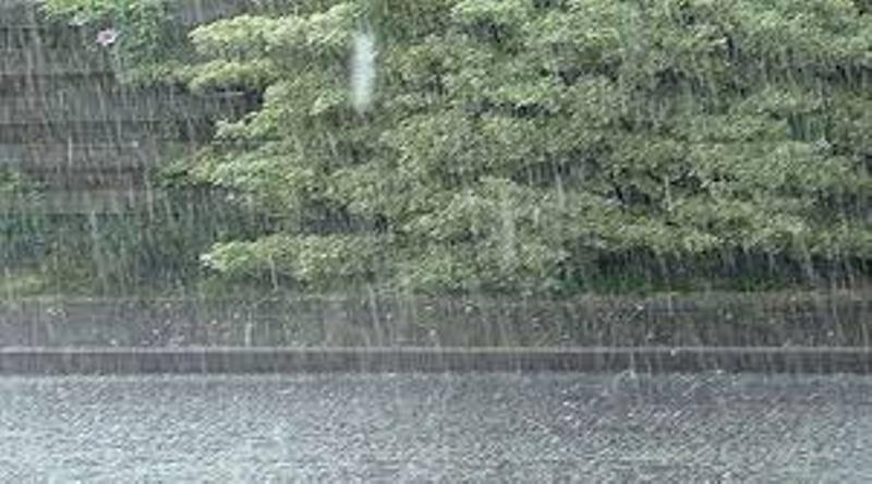 Rain