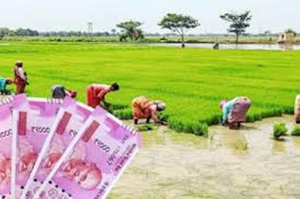 kisan