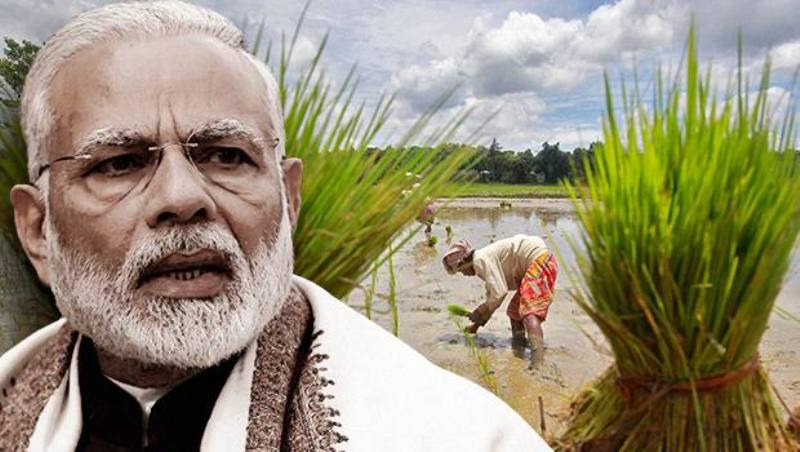 Pm kisan