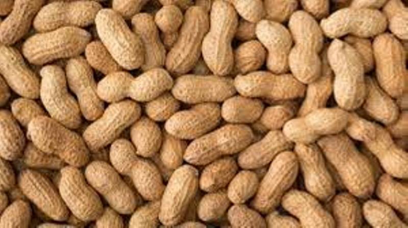 Peanuts