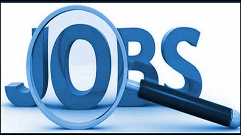 Agricultural Jobs 2020