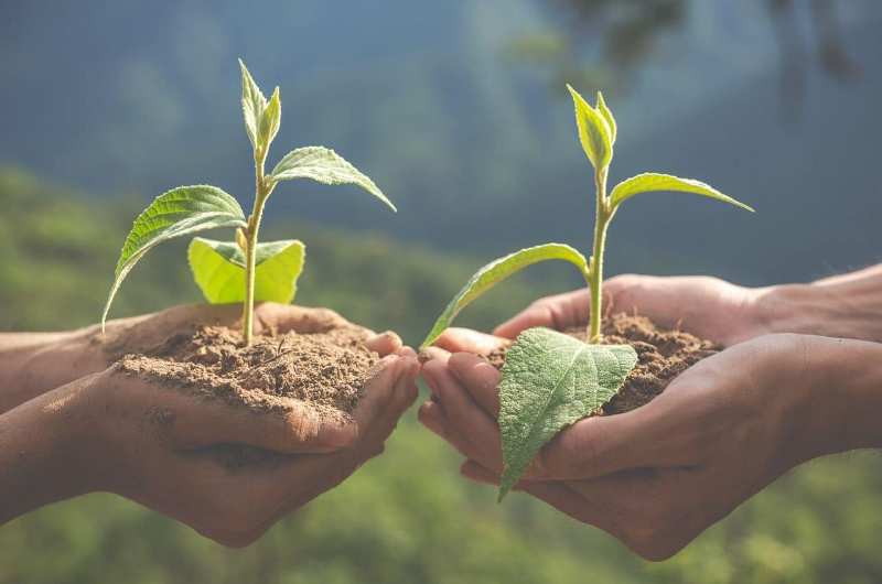 World Soil Day 2020