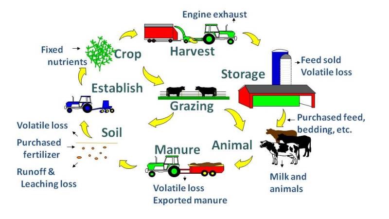 Integrated farming