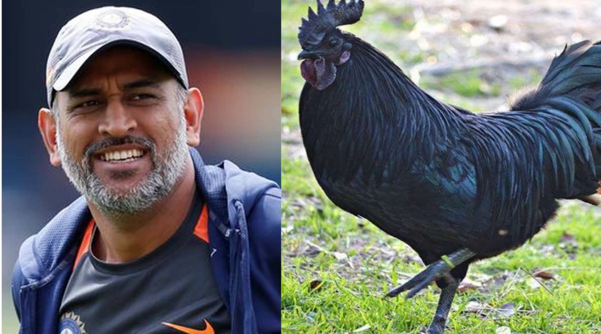 MS Dhoni and Farming