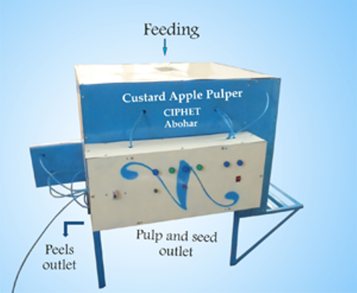 Custard apple Extractor