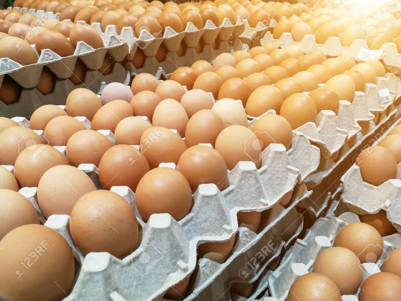 Egg