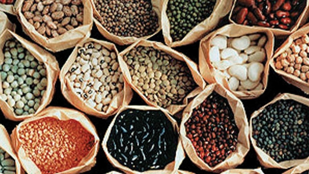 Pulses