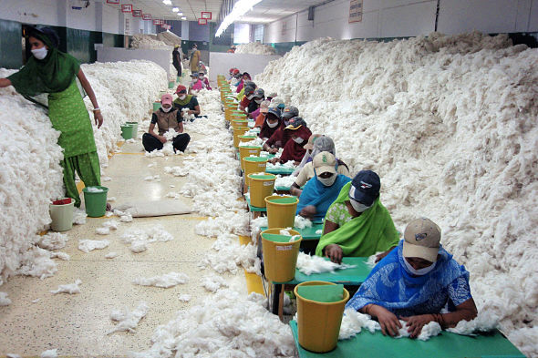 Cotton corporation