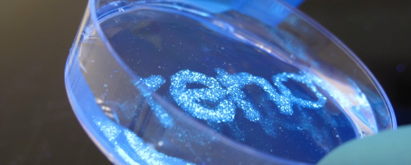 Nanoclay Technology