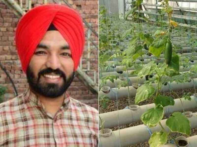 Hydroponic Method