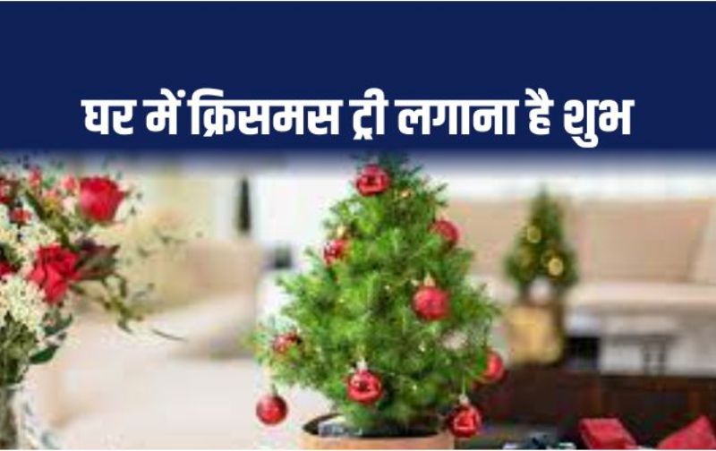 Christmas Tree घर म क र समस ट र लग न स आएग ख शह ल ज न ए क स